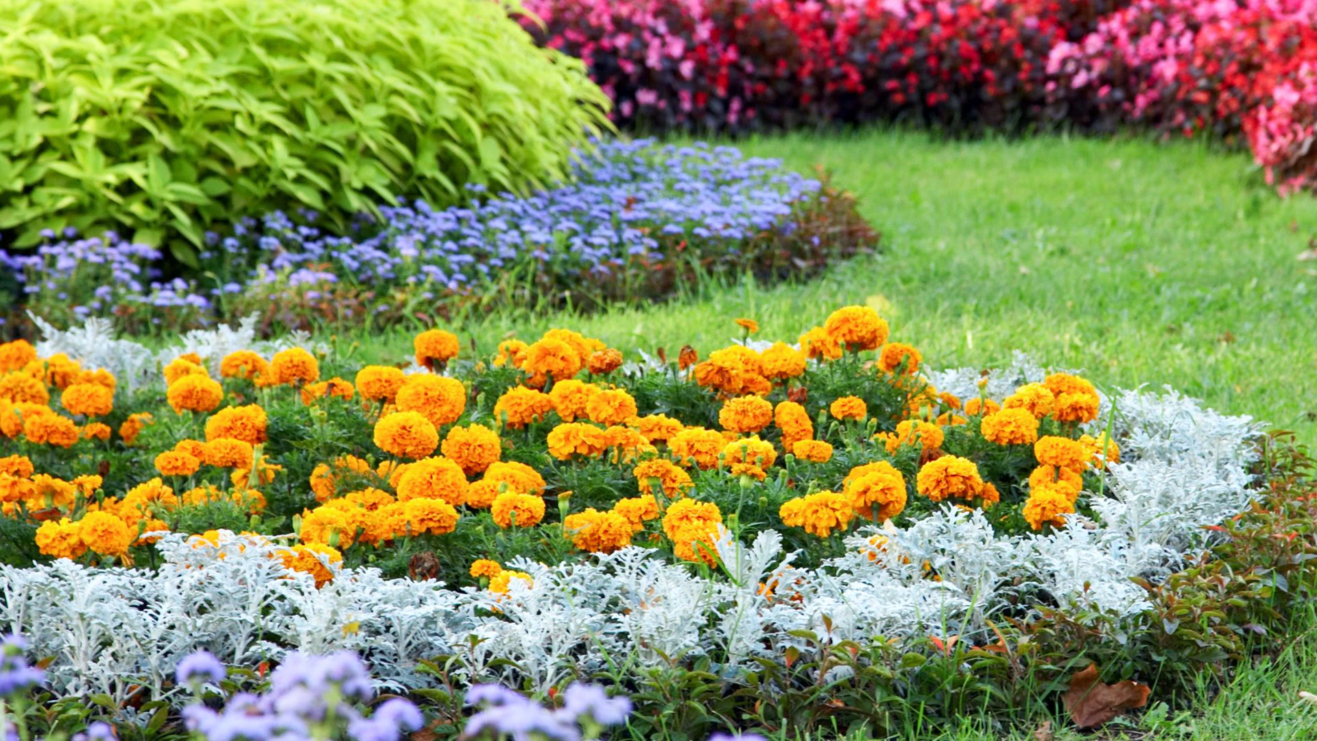 creation de jardin la baule