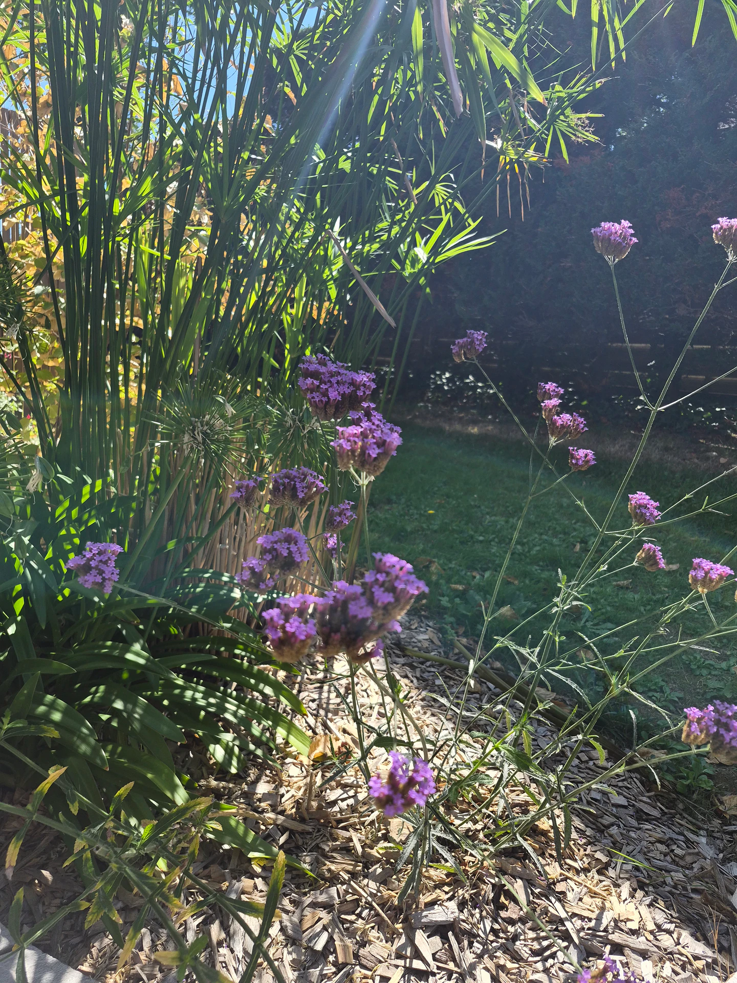 entretien de jardin pornichet