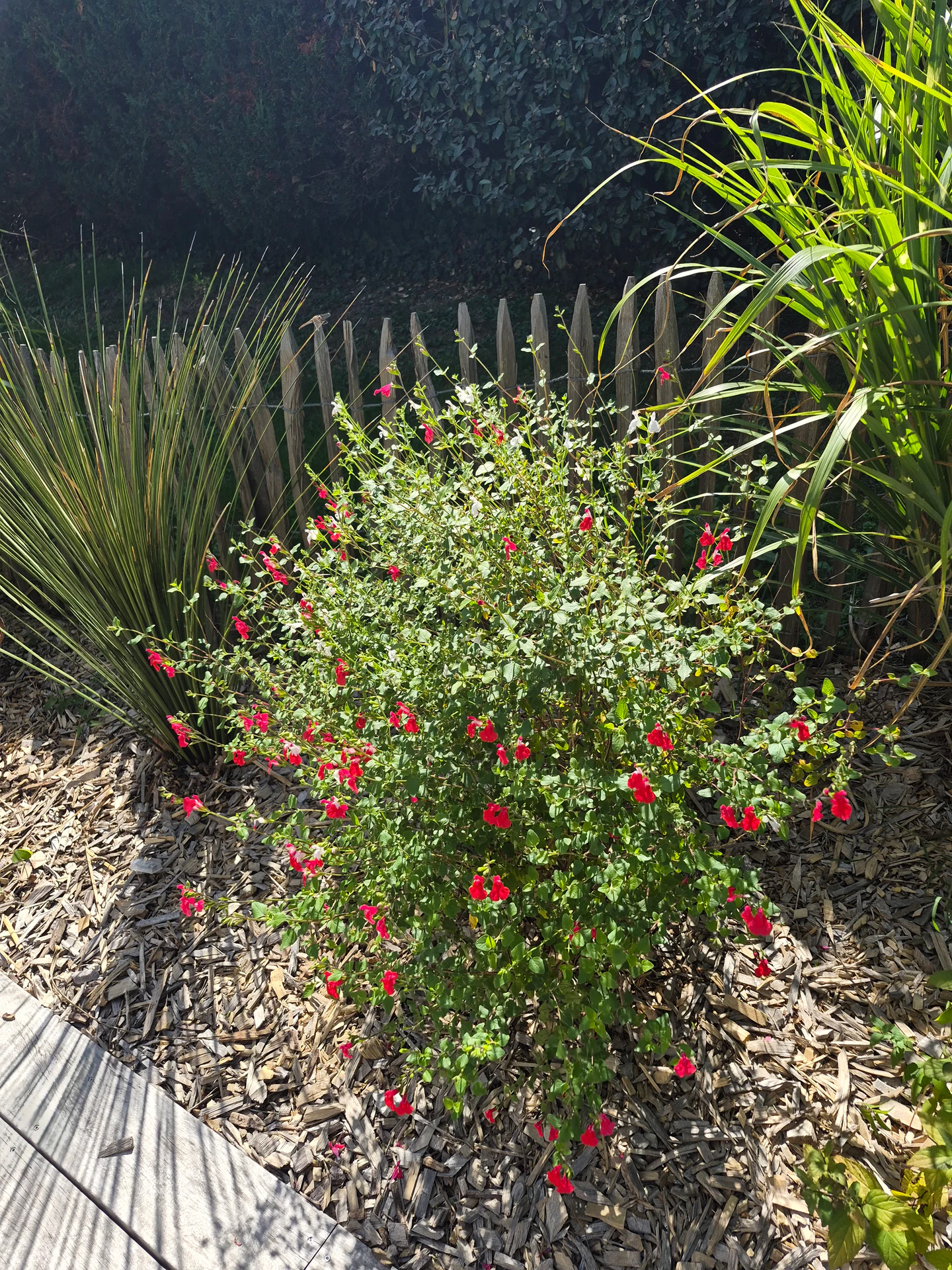 jardinier pornichet